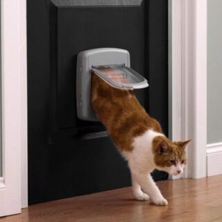 Cat Flap