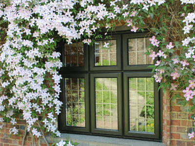 timber look windows