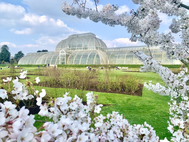 Kew Gardens